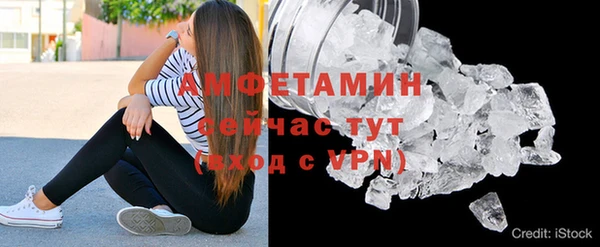 прущий лед Богданович