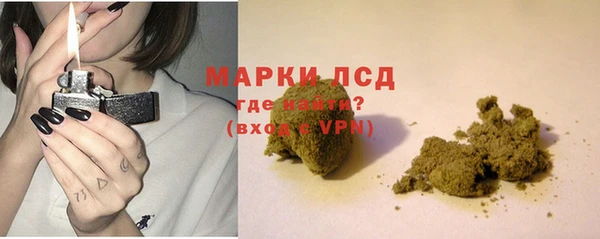 прущий лед Богданович