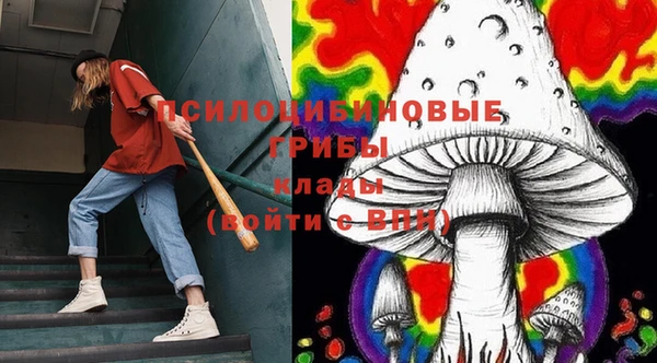 прущий лед Богданович