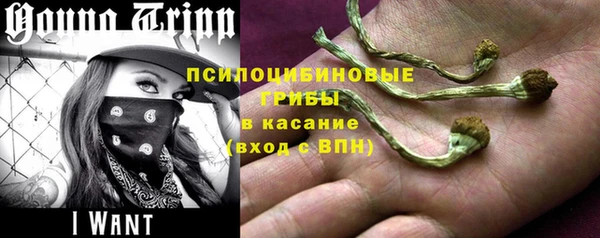каннабис Богородицк