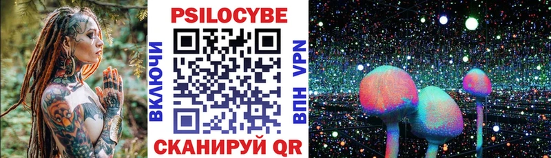 Галлюциногенные грибы Psilocybe  Златоуст 